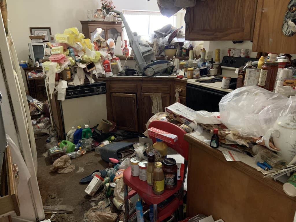 Home Cleanouts