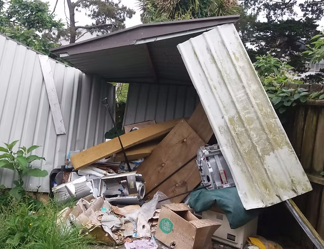 Shed Removal