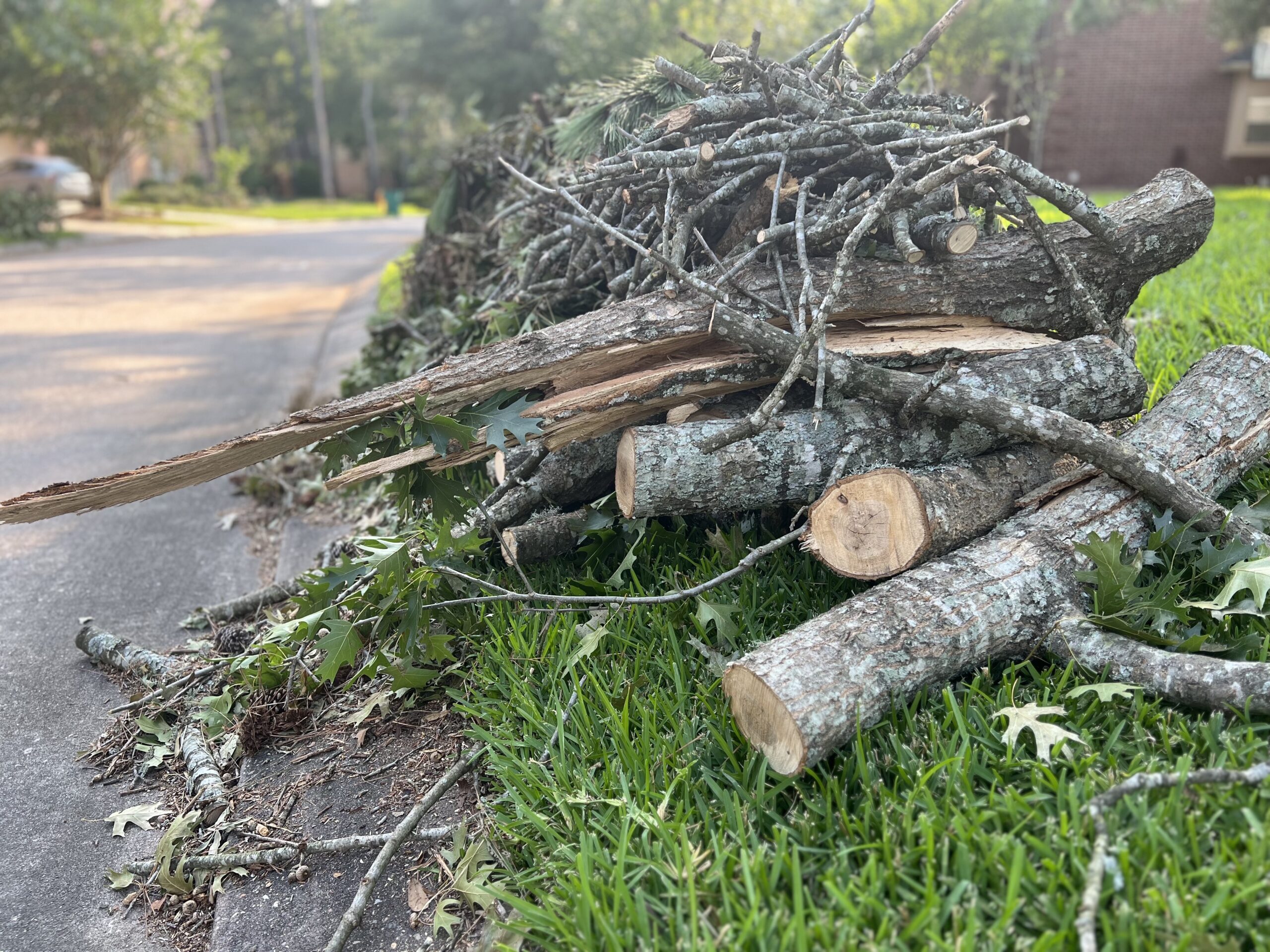 Yard Debris